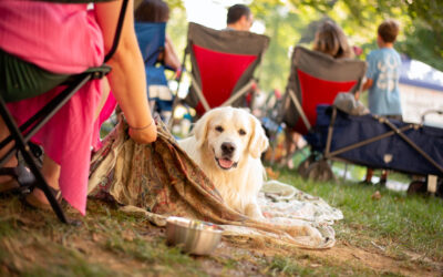 Dogs of Bluegrass