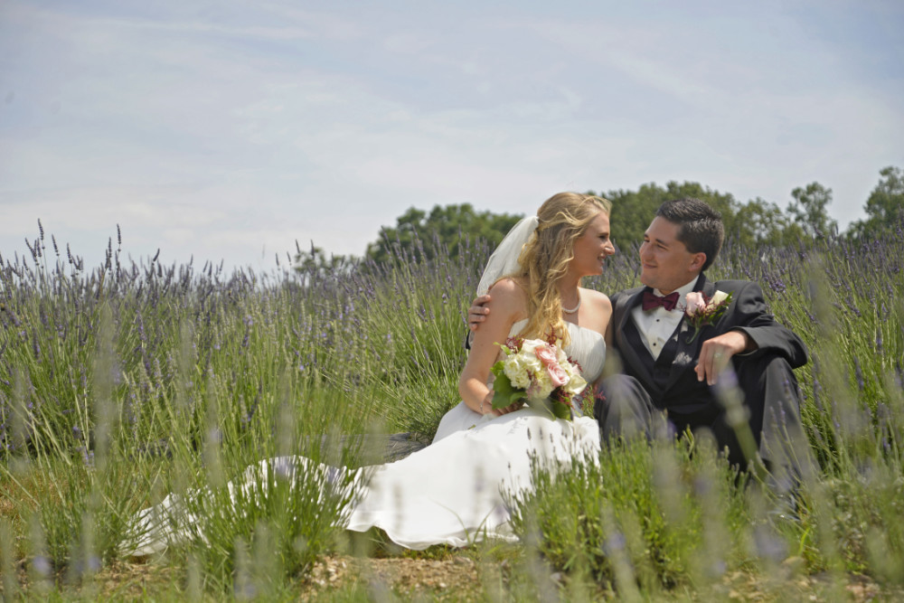 Lavender Wedding